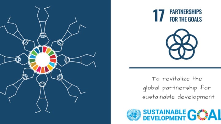 Spotlight on SDG 17 Partnerships for the Goals